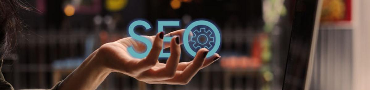 Roi SEO