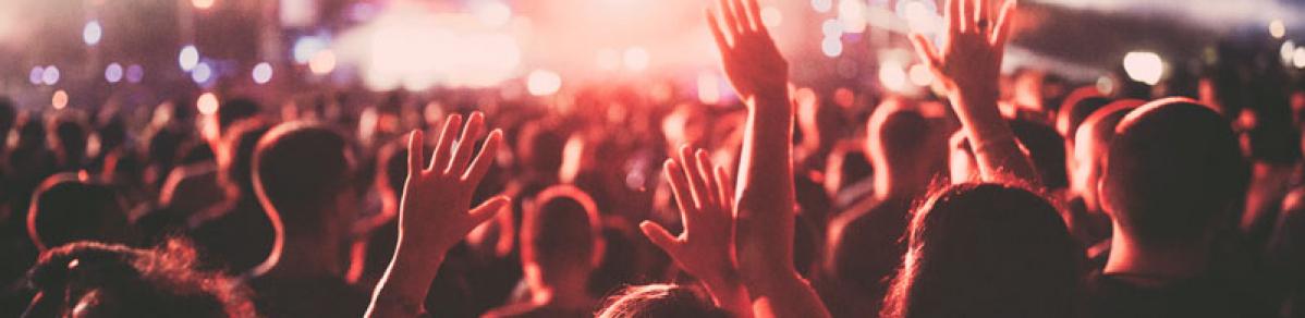 campagnes google ads search & display